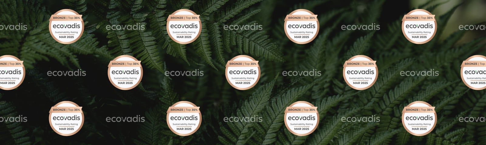 Ecovadis Bronze 2025 - sustainabilbity rating